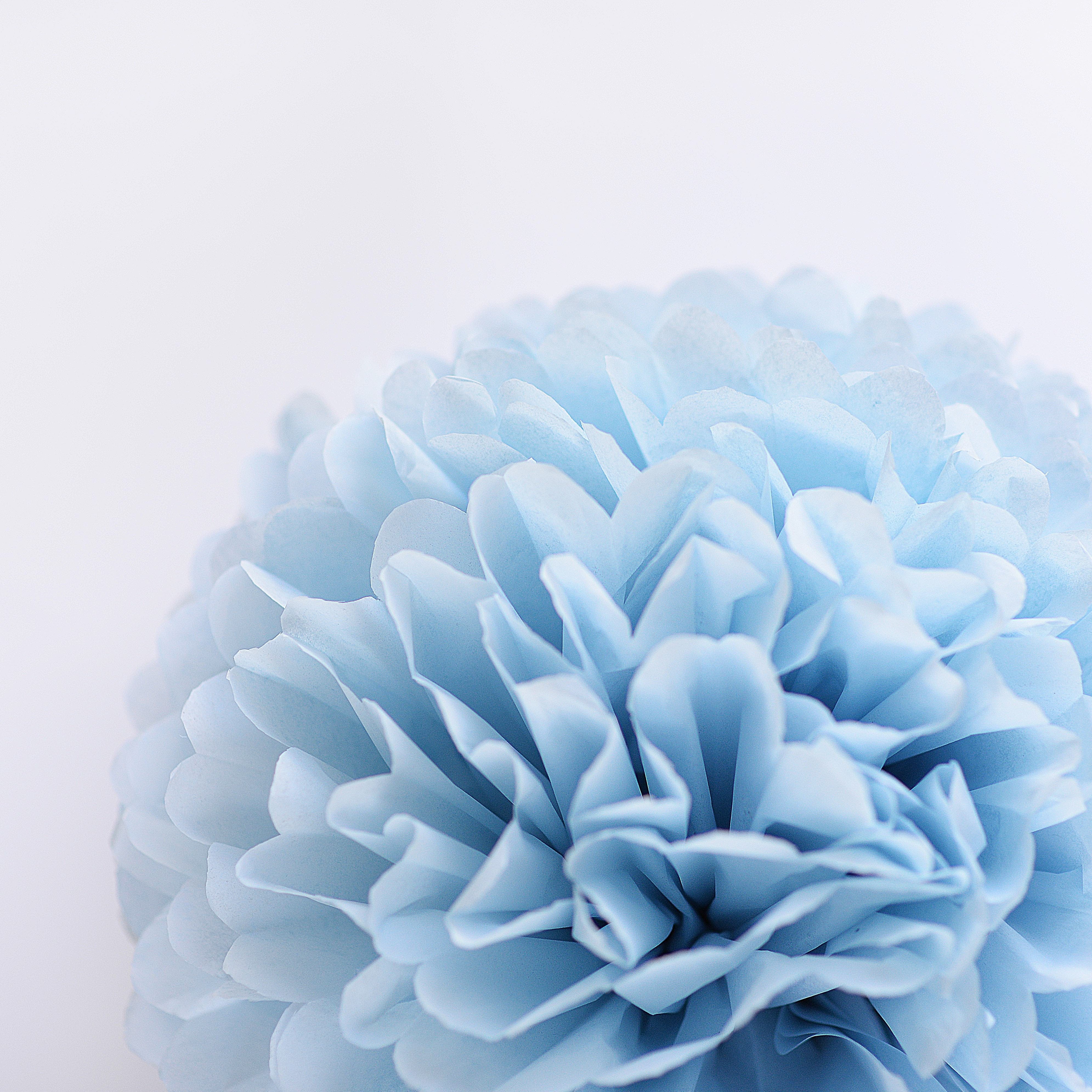 Powder blue tissue paper pom pom - Decopompoms