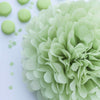 Small 22cm Light green green tissue paper pom pom - Decopompoms